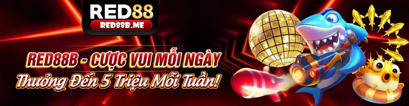 Hình ảnh chính hướng dẫn cá cược thể thao BL55