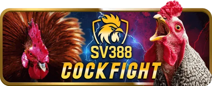 Hỗ Trợ Khách Hàng bl55